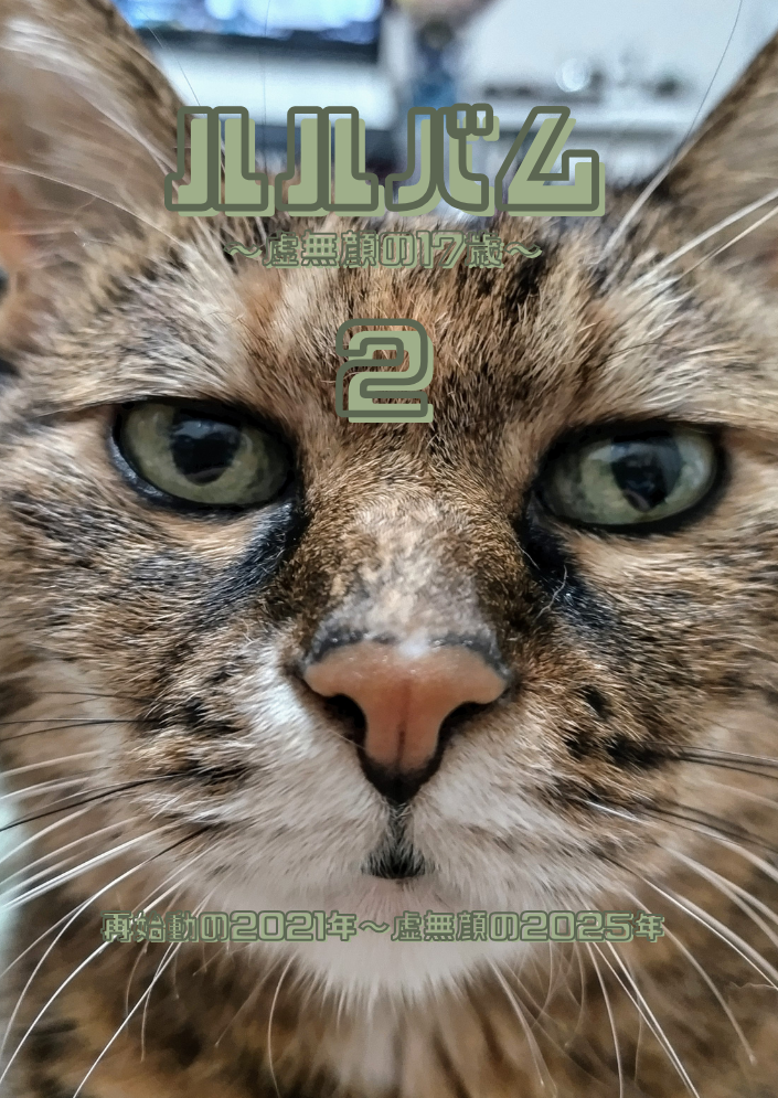 ZINE「ルルバム～虚無顔の17歳～２」