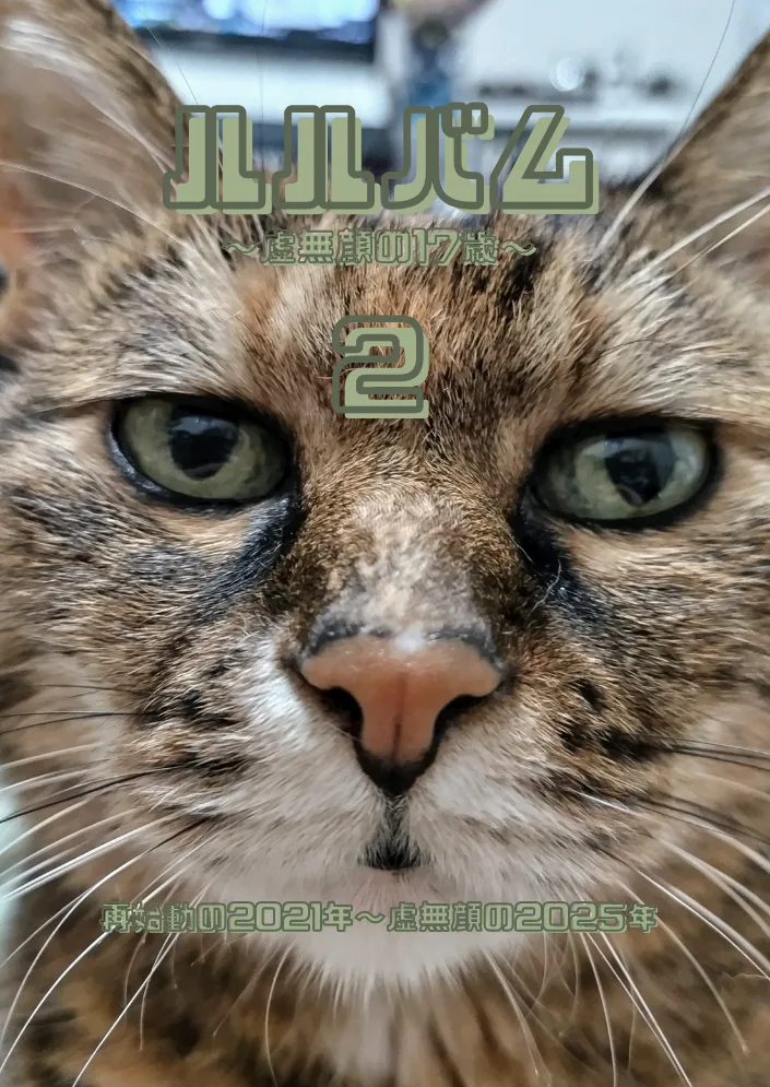 ZINE「ルルバム～虚無顔の17歳～２」