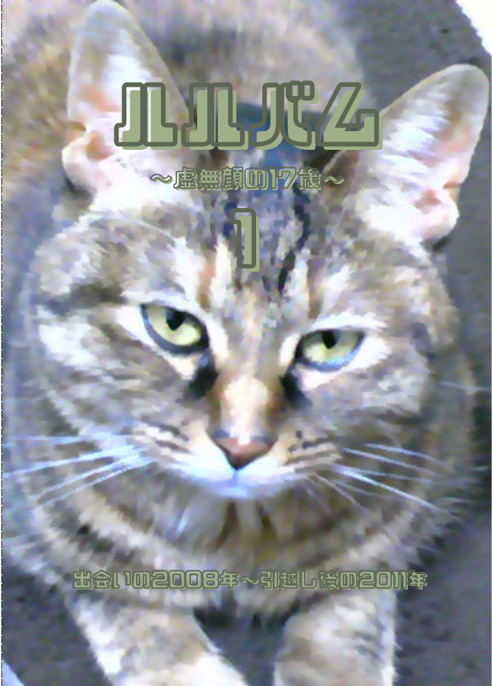 ZINE「ルルバム～虚無顔の17歳～１」